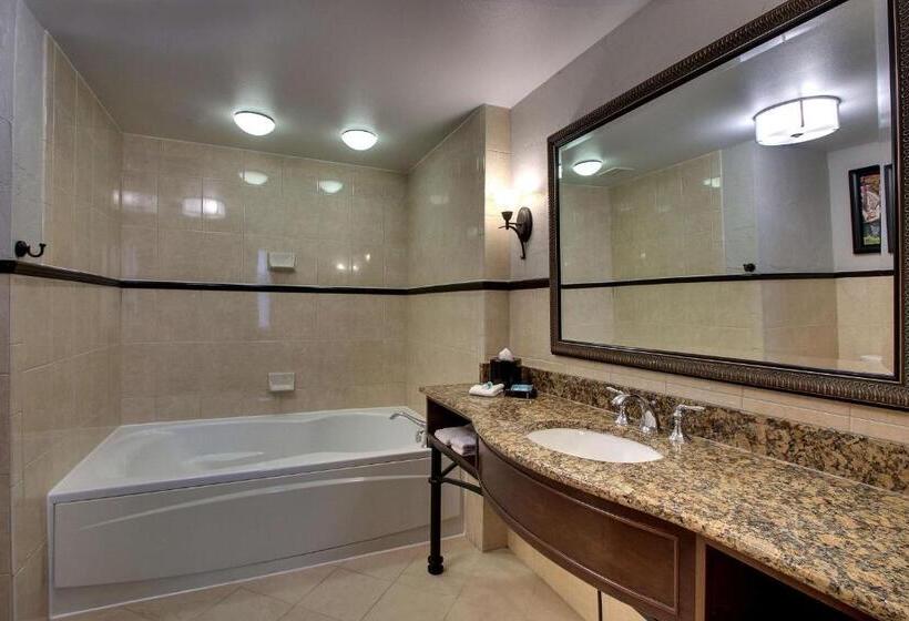 اتاق لوکس با تخت بزرگ, Drury Plaza Hotel San Antonio Riverwalk