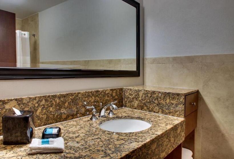 سوئیت با تخت بزرگ, Drury Plaza Hotel San Antonio Riverwalk