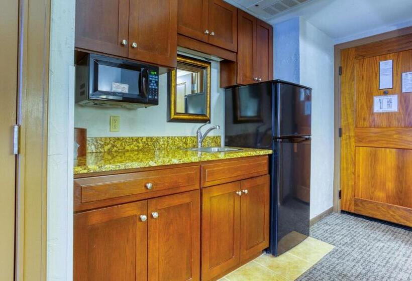 اتاق لوکس با تخت بزرگ, Drury Plaza Hotel San Antonio Riverwalk