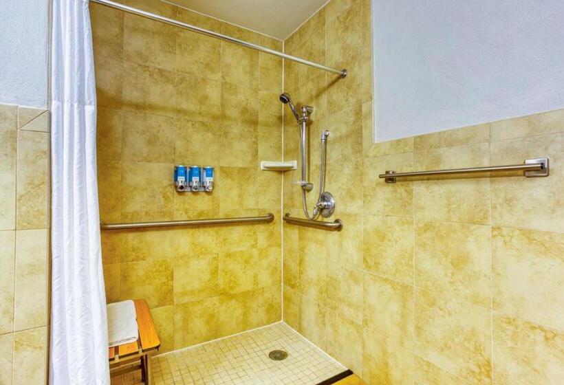 اتاق لوکس با تخت بزرگ, Drury Plaza Hotel San Antonio Riverwalk