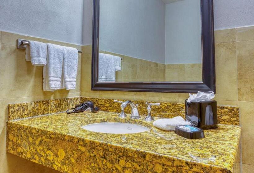 اتاق لوکس با تخت بزرگ, Drury Plaza Hotel San Antonio Riverwalk