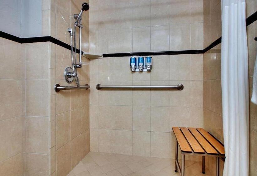 اتاق دلوکس مخصوص معلولین, Drury Plaza Hotel San Antonio Riverwalk