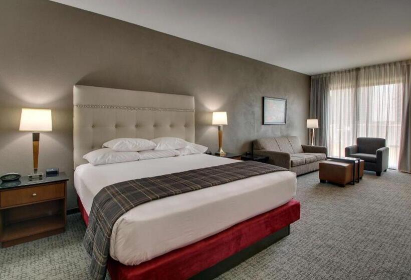 اتاق لوکس با تخت بزرگ, Drury Plaza Hotel San Antonio Riverwalk