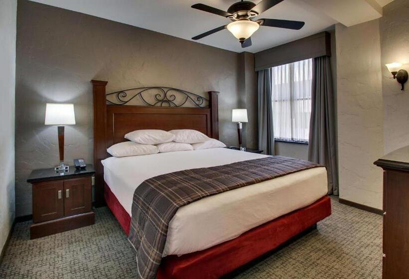 اتاق لوکس با تخت بزرگ, Drury Plaza Hotel San Antonio Riverwalk