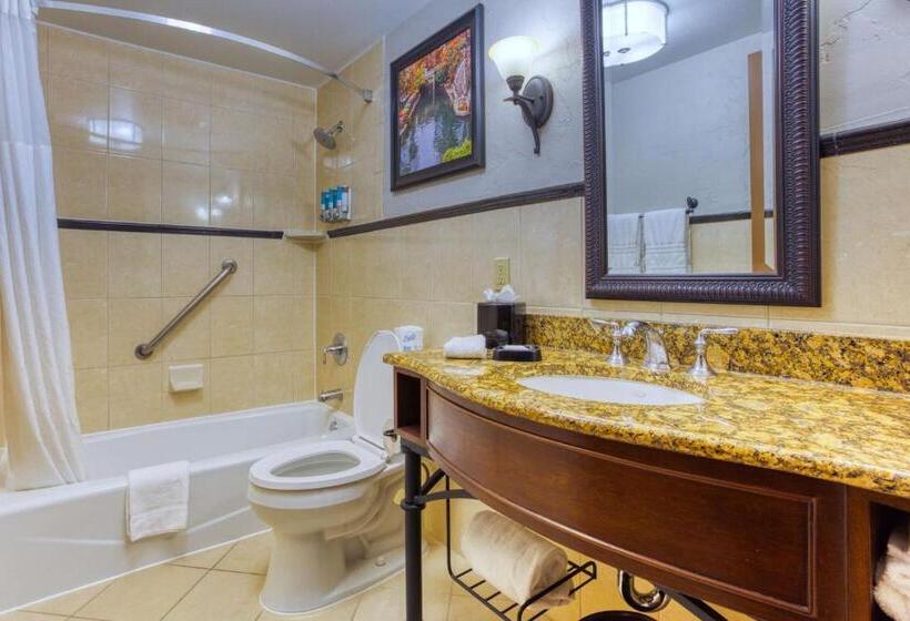 اتاق دلوکس مخصوص معلولین, Drury Plaza Hotel San Antonio Riverwalk