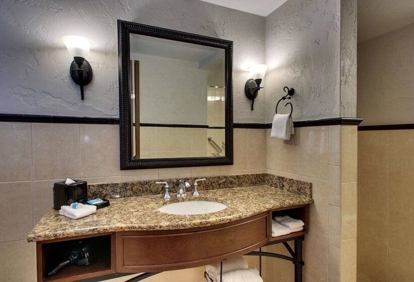 اتاق لوکس, Drury Plaza Hotel San Antonio Riverwalk