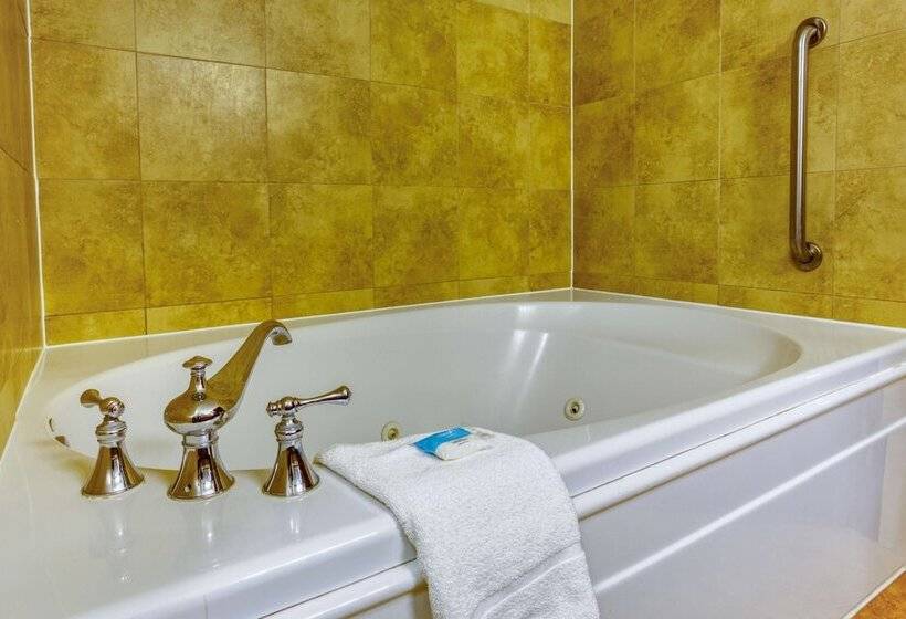 سوییت, Drury Plaza Hotel San Antonio Riverwalk