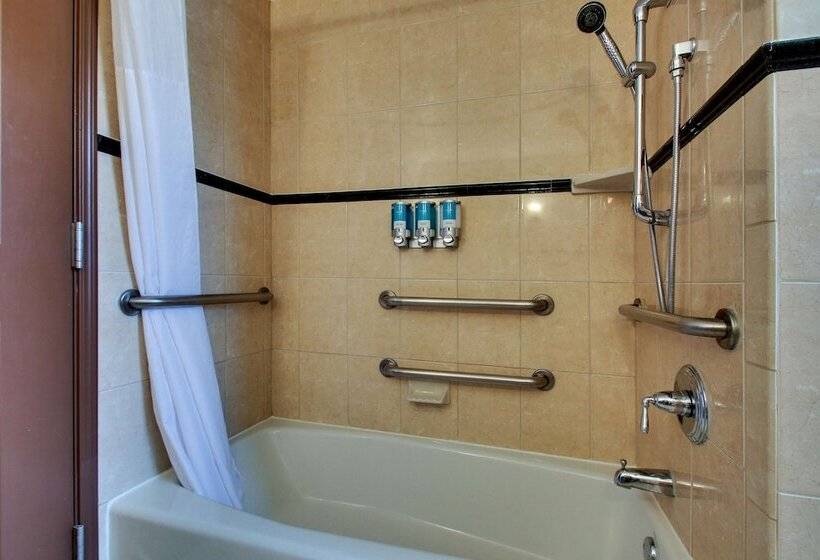 سوئیت برای معلولان, Drury Plaza Hotel San Antonio Riverwalk