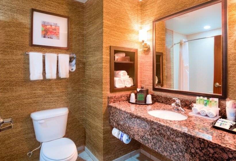 سوئیت برای معلولان, Holiday Inn Express Hotel And Suites Elk City, An Ihg