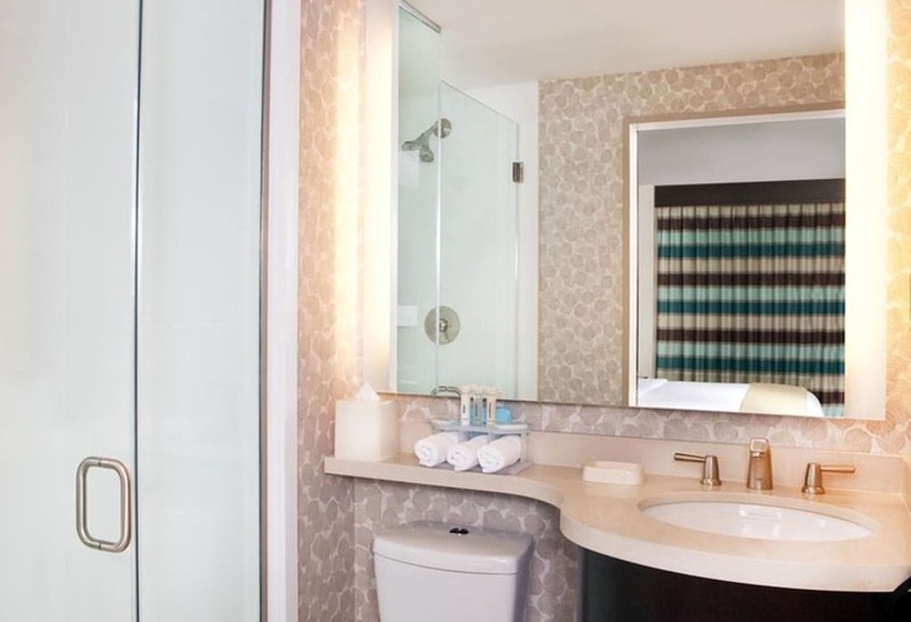 اتاق استاندارد با 2 تخت دوبل, Holiday Inn Express   Times Square South, An Ihg