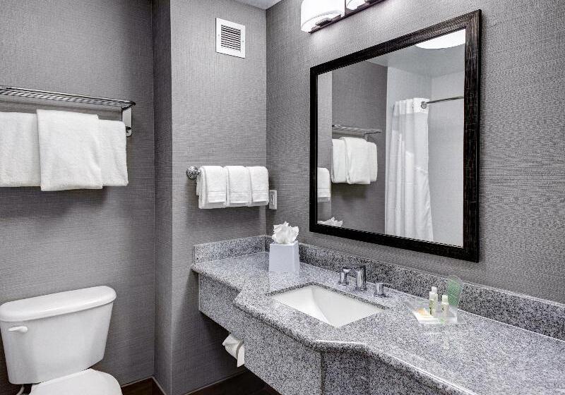 اتاق استاندارد با تخت بزرگ, Holiday Inn Savannah Historic District, An Ihg