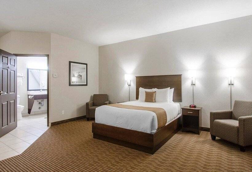 اتاق استاندارد با تخت دوبل, Quality Inn & Suites
