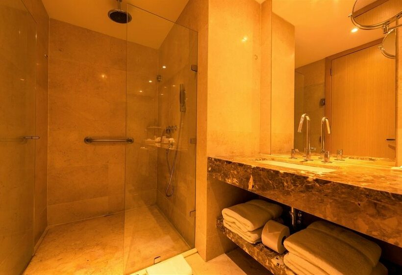 استودیوی استاندارد, Radisson Cartagena Ocean Pavillion