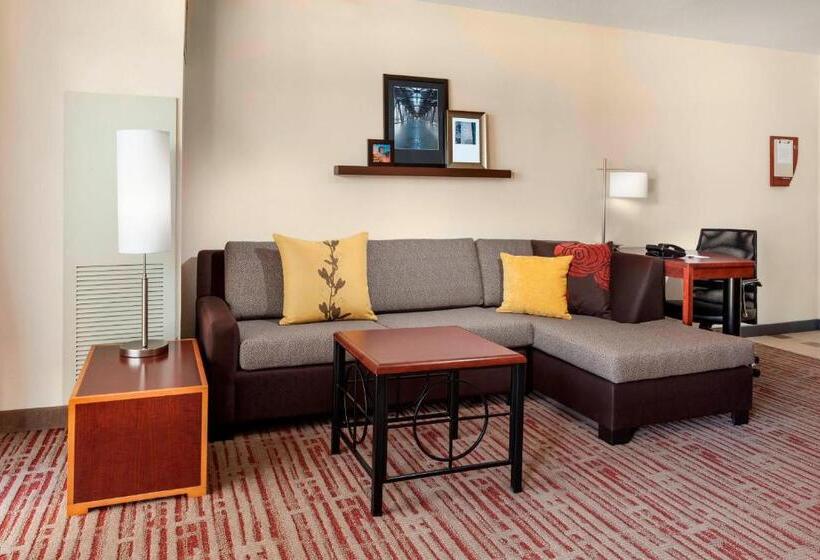 استودیو استاندارد با تخت کینگ, Residence Inn Chicago Downtown/river North