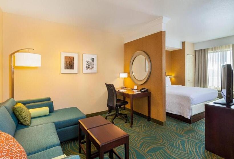 استودیو استاندارد با تخت کینگ, Springhill Suites Modesto