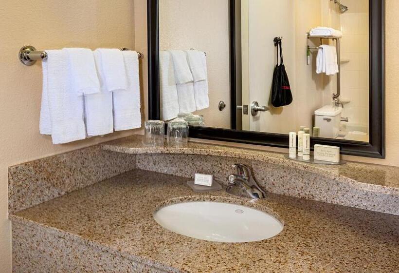 استودیو استاندارد با تخت کینگ, Springhill Suites By Marriott Modesto