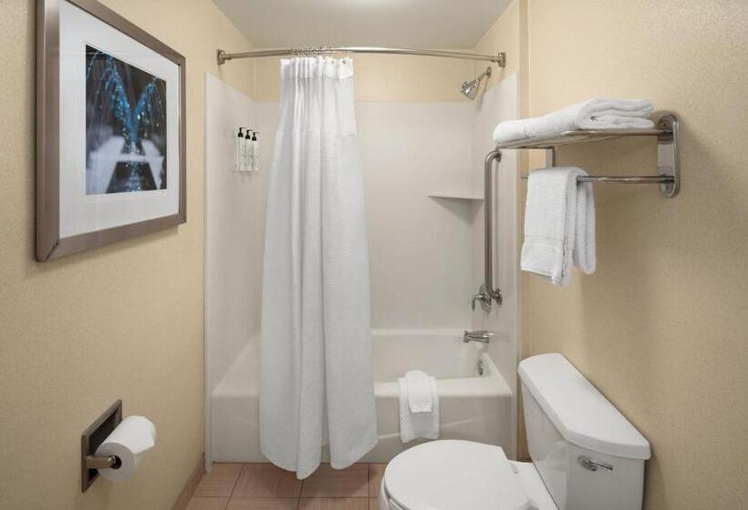 استودیو استاندارد با تخت کینگ, Springhill Suites Modesto