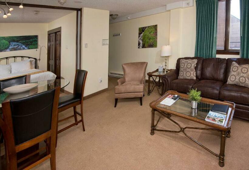 آپارتمان 1 خوابه, Vail Run Resort