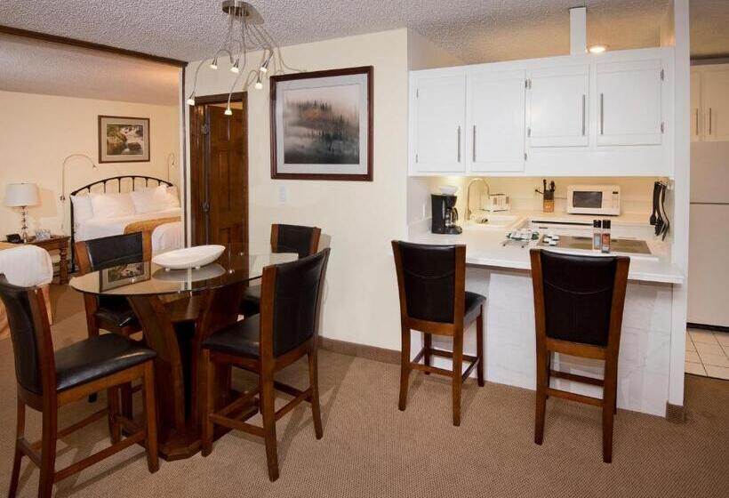 آپارتمان 1 خوابه, Vail Run Resort