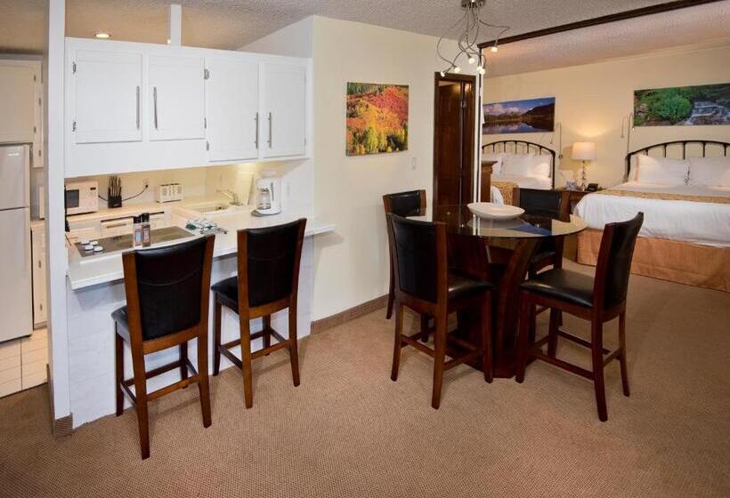 آپارتمان 1 خوابه, Vail Run Resort