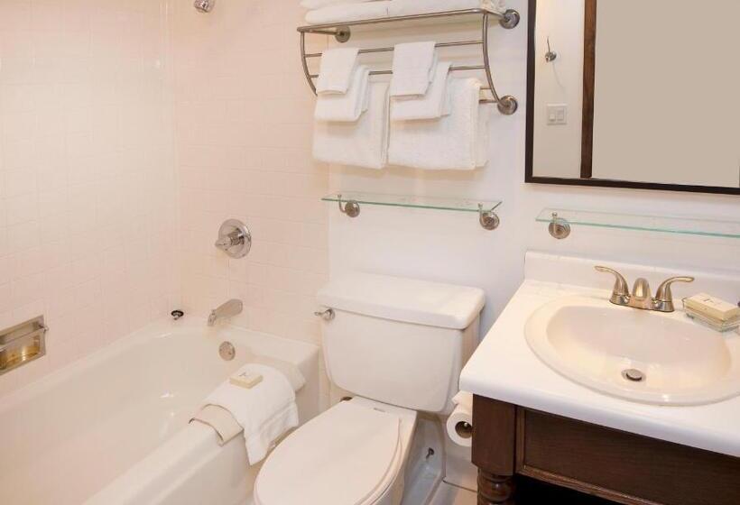 استودیوی استاندارد, Vail Run Resort