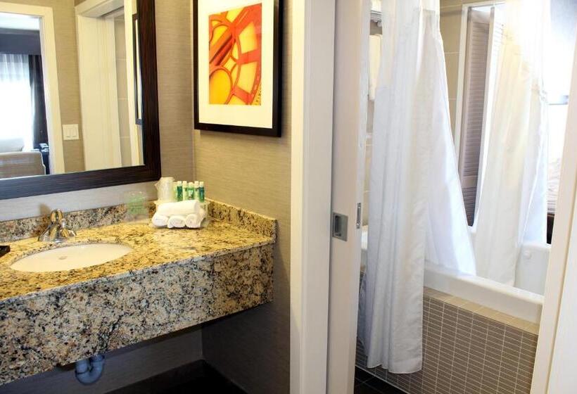 اتاق اجرایی با تخت بزرگ, Chateau Inn & Suites Bonnyville