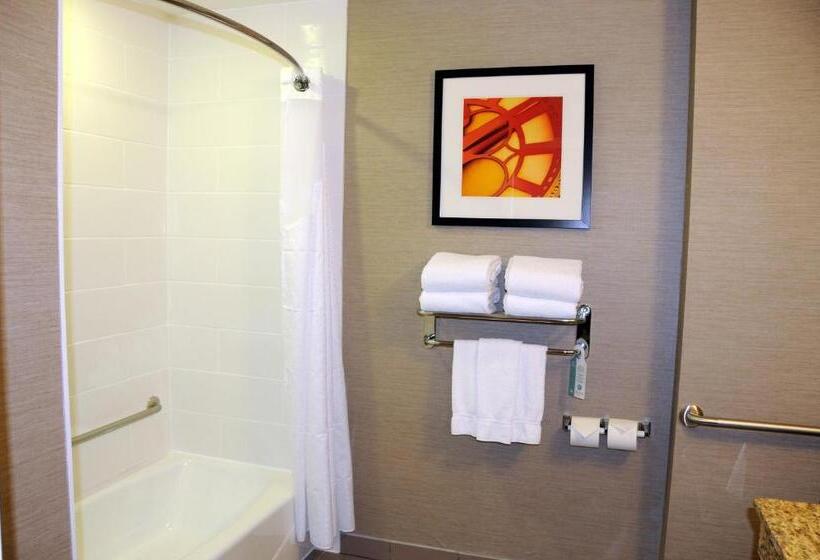اتاق استاندارد با تخت بزرگ برای معلولان, Chateau Inn & Suites Bonnyville