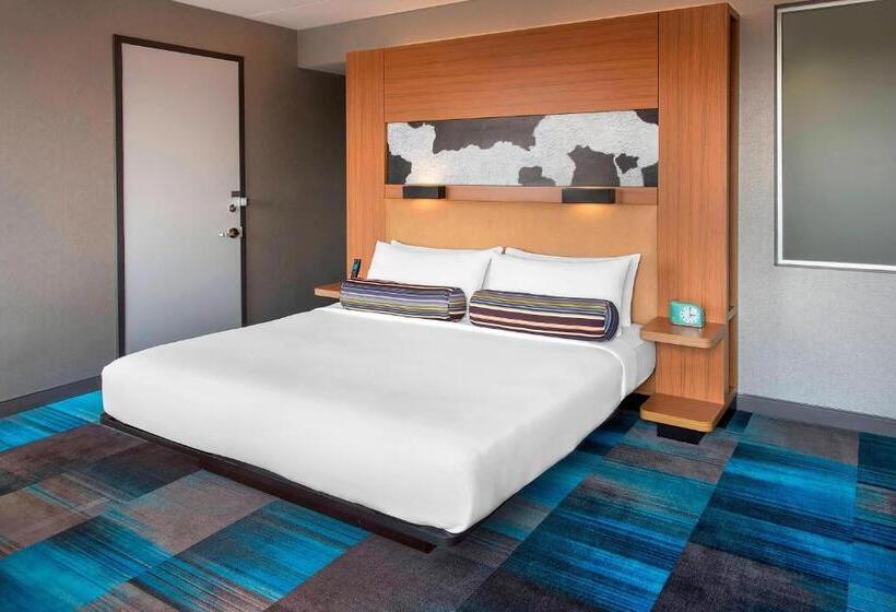 غرفة قياسية سرير كينج, Aloft Nashville Franklin