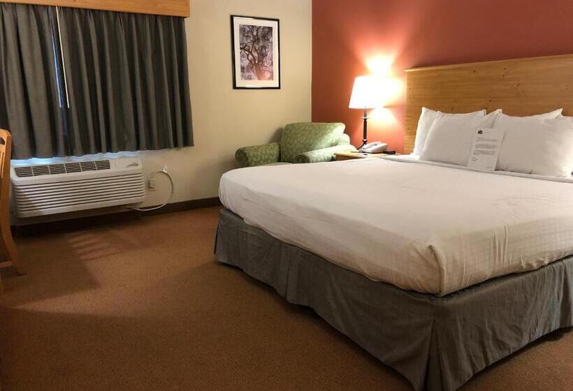 Chambre Standard Lit King Size Adaptée aux Personnes à Mobilité Réduite, Americinn By Wyndham Princeton Il