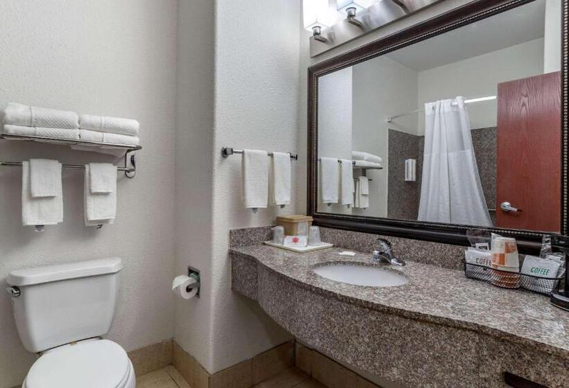 اتاق استاندارد با تخت بزرگ, Clarion Pointe Sulphur  Lake Charles
