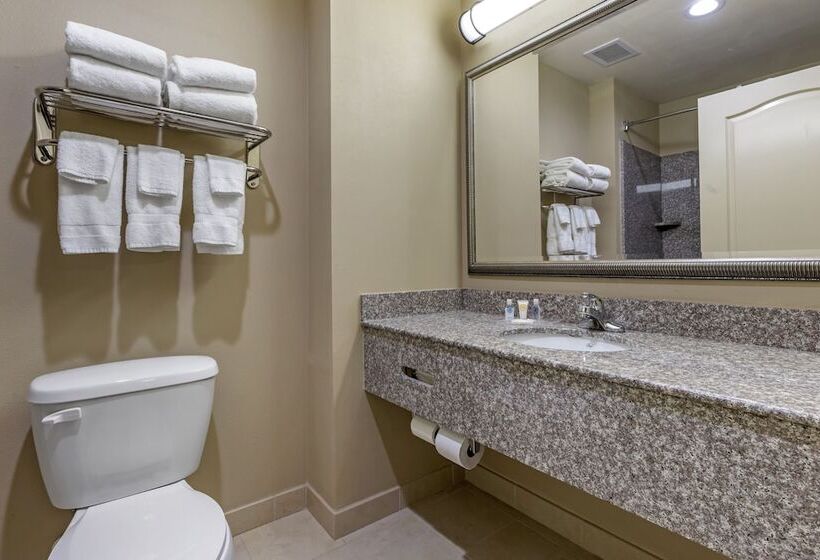 Suite, Comfort Inn & Suites High Point  Archdale