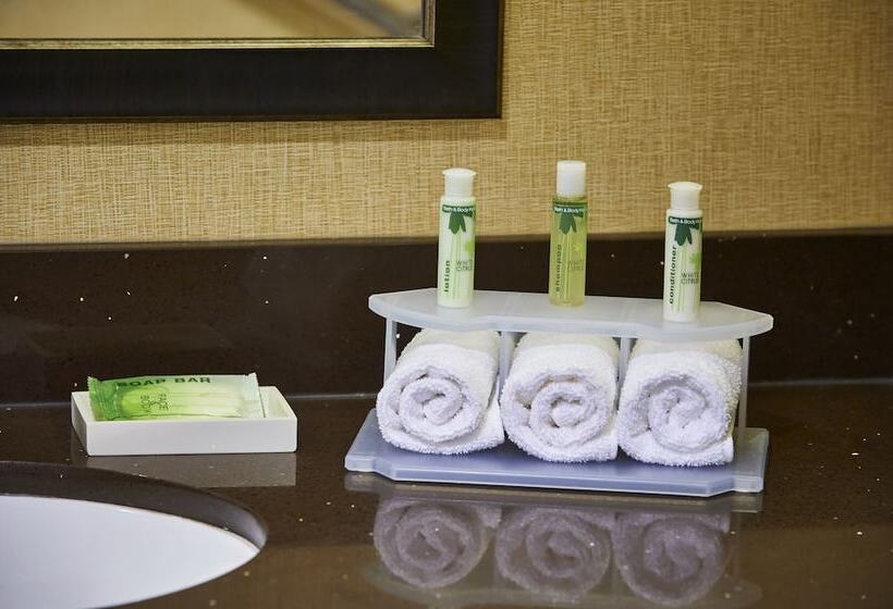 سوییت, Holiday Inn Express And Suites Timmins, An Ihg
