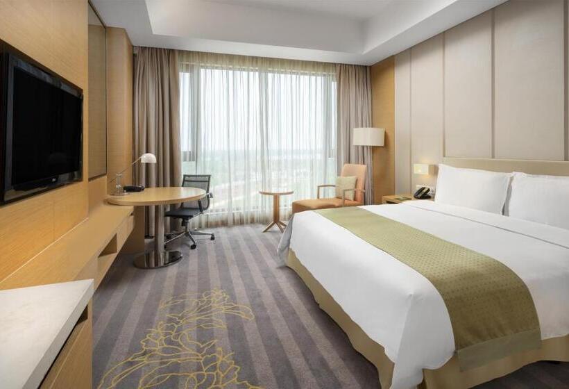 اتاق استاندارد, Holiday Inn Nanyang By Ihg