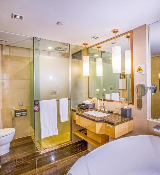 高级江景房, Pullman Linyi Lushang