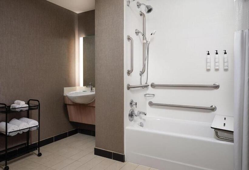 Standard Studio Kingsize Bett, Springhill Suites Minneapolisst. Paul Airport/mall Of America