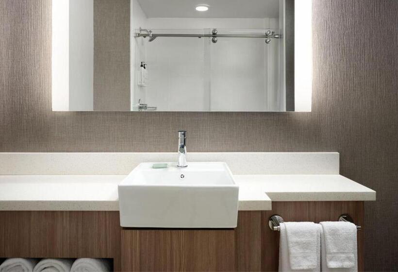استودیو استاندارد با تخت کینگ, Springhill Suites Minneapolisst. Paul Airport/mall Of America
