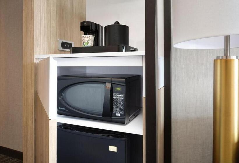 استودیو استاندارد با تخت کینگ, Springhill Suites Minneapolisst. Paul Airport/mall Of America