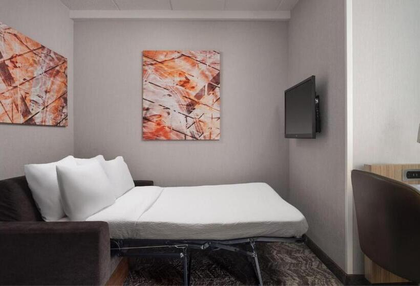 استودیو استاندارد با تخت کینگ, Springhill Suites Minneapolisst. Paul Airport/mall Of America