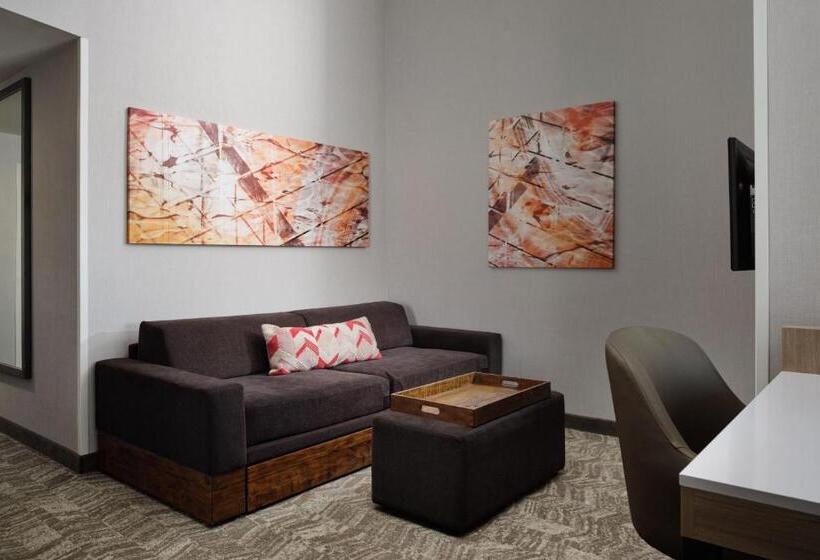 استودیو استاندارد با تخت کینگ, Springhill Suites Minneapolisst. Paul Airport/mall Of America
