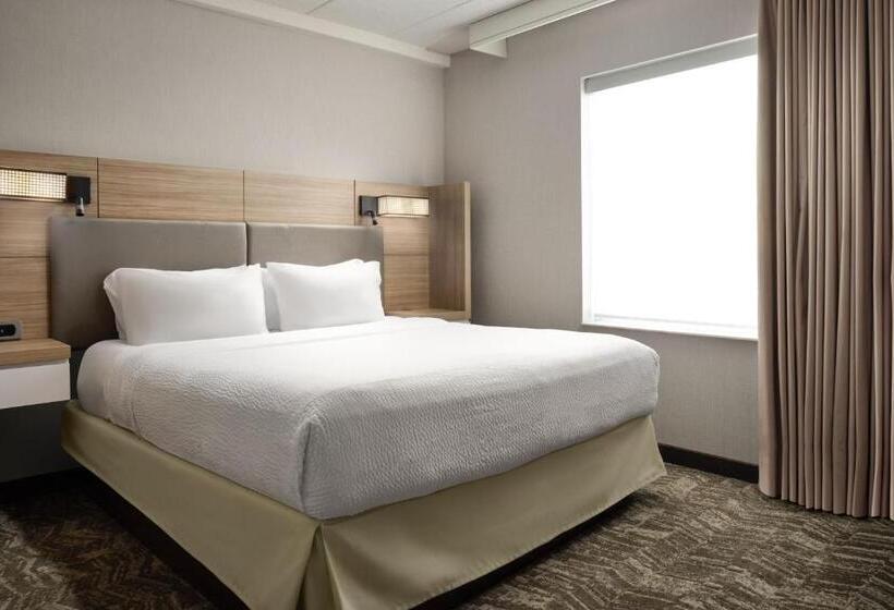 استودیو استاندارد با تخت کینگ, Springhill Suites Minneapolisst. Paul Airport/mall Of America