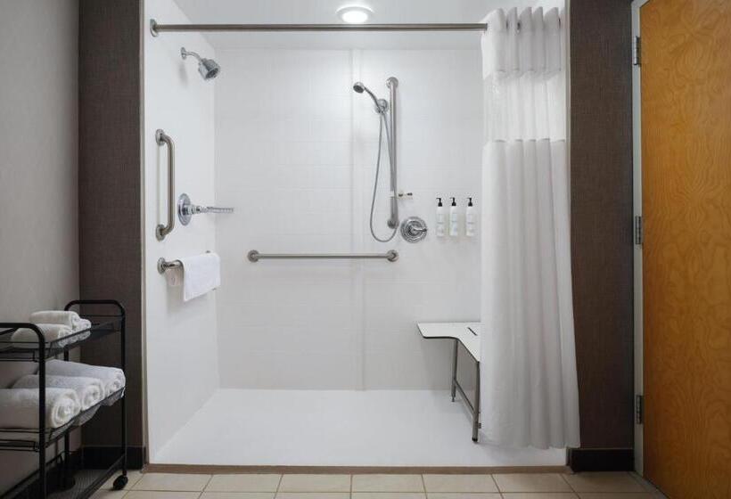 استودیوی استاندارد, Springhill Suites Minneapolisst. Paul Airport/mall Of America