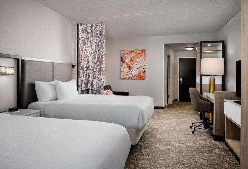 استودیوی استاندارد, Springhill Suites Minneapolisst. Paul Airport/mall Of America