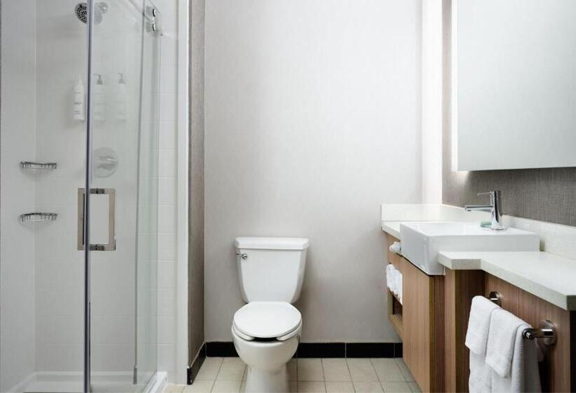 سوییت, Springhill Suites Minneapolisst. Paul Airport/mall Of America