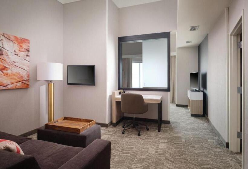 Suite, Springhill Suites Minneapolisst. Paul Airport/mall Of America