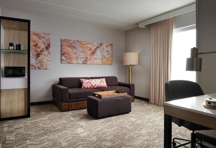 스위트, Springhill Suites Minneapolisst. Paul Airport/mall Of America