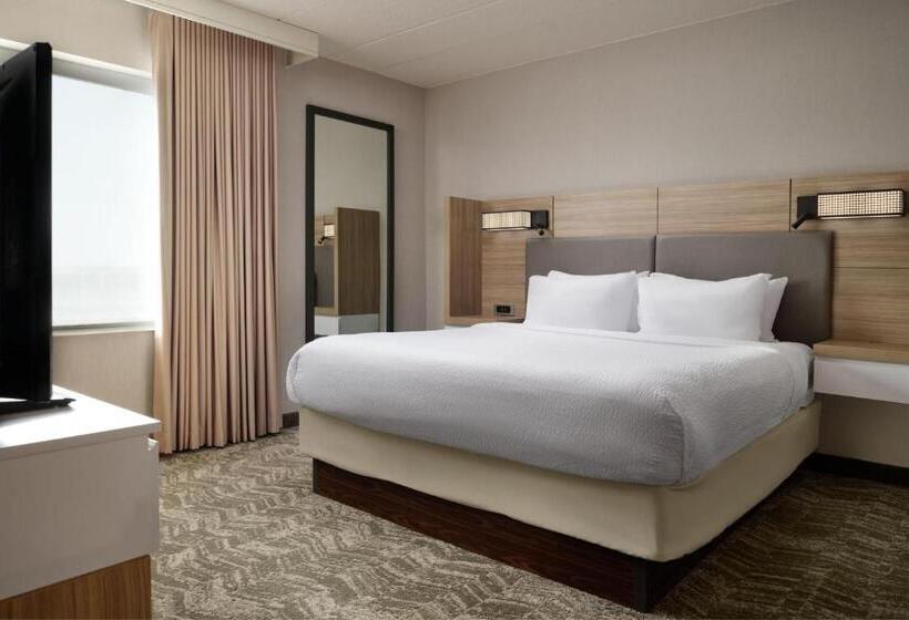 스위트, Springhill Suites Minneapolisst. Paul Airport/mall Of America