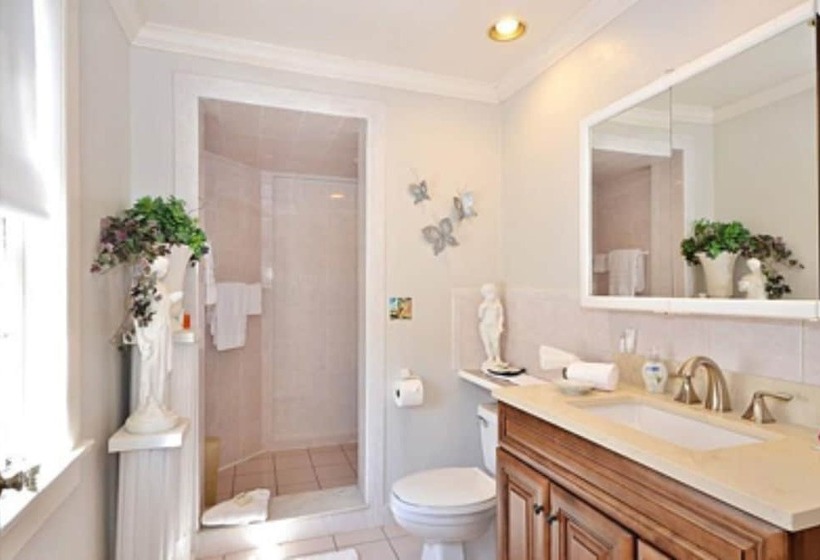 اتاق استاندارد, Sabal Palm House Bed And Breakfast