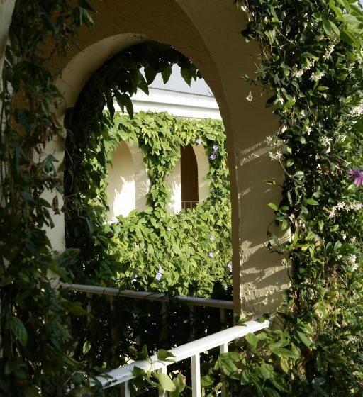اتاق استاندارد برای معلولان, The Caribbean Court Boutique