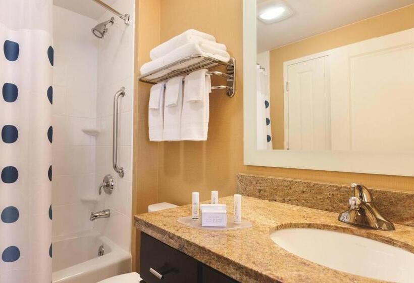 استودیو استاندارد با تخت کینگ, Towneplace Suites Joliet South