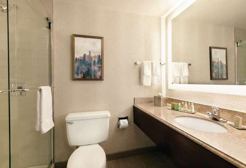 استودیو استاندارد با تخت کینگ, Home2 Suites By Hilton Fayetteville Fort Bragg
